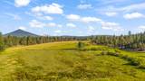 69485 Deer Ridge Road - Photo 80