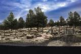 16524 Yaqui Road - Photo 24