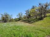 3635 High Prairie Drive - Photo 6