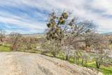 852 Oak Street - Photo 67