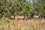 63950 Tyler Road - Photo 63