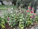 2218 79th Street - Photo 53