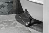 16767 Stage Stop Drive - Photo 54