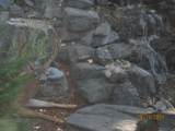 260 Highwood Lane - Photo 46