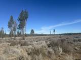  Ruffed Grouse Lane - Photo 3