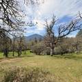 15 Twin Oaks Road - Photo 26