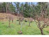 3805 Briar Knob Loop - Photo 26