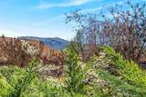 495 Chestnut Street - Photo 18