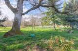 6795 Holland Loop Road - Photo 53