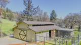4131 Griffin Creek Road - Photo 33