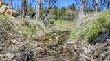 4131 Griffin Creek Road - Photo 41