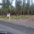 55540 Big River Drive - Photo 1