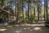3504 Azalea Drive - Photo 29
