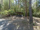 3504 Azalea Drive - Photo 53