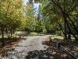 3504 Azalea Drive - Photo 54