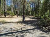 3504 Azalea Drive - Photo 55