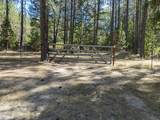 3504 Azalea Drive - Photo 57