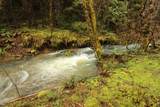 509 Marble Mountain Road - Photo 11