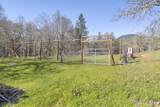 547 Jackpine Drive - Photo 55