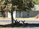 451 C Street - Photo 30