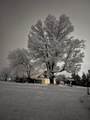 451 C Street - Photo 34