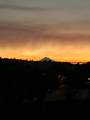 451 C Street - Photo 36