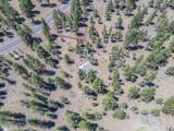 16840 Buck Horn Drive - Photo 26