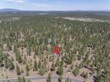 16840 Buck Horn Drive - Photo 32