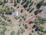 16840 Buck Horn Drive - Photo 35
