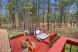14987 Buggy Whip - Photo 34