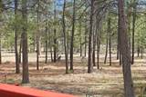 14987 Buggy Whip - Photo 44