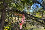  Obrien West - Photo 13