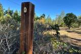  Obrien West - Photo 29