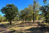  Obrien West - Photo 3