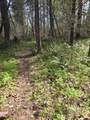 3760 Pleasant Creek Road - Photo 26