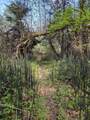 3760 Pleasant Creek Road - Photo 27