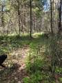 3760 Pleasant Creek Road - Photo 30