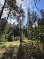 3760 Pleasant Creek Road - Photo 33