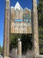 Emerald Meadows Way - Photo 1