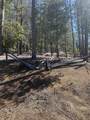  Emerald Meadows Way - Photo 18