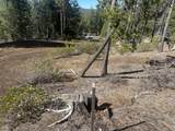  Emerald Meadows Way - Photo 19