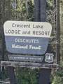 Emerald Meadows Way - Photo 22