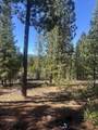  Emerald Meadows Way - Photo 8