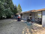 1095 Lee Roze Lane - Photo 5