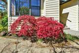 1027 Oak Knoll Drive - Photo 42