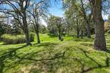1027 Oak Knoll Drive - Photo 48