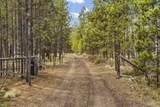 56005 Browning Drive - Photo 42