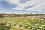 10127 Shad Road - Photo 47