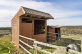 10127 Shad Road - Photo 59