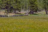 0 Fishhole Creek Road - Photo 16
